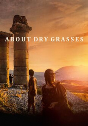 About Dry Grasses