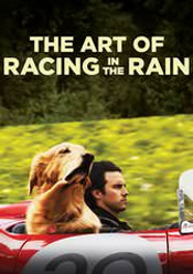 Art of Racing in the Rain, The
