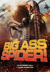 Big Ass Spider!