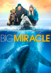 Big Miracle