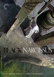 Black Narcissus
