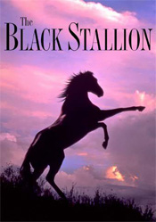 Black Stallion, The