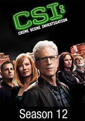 CSI: Crime Scene Investigation: Season 12