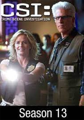 CSI: Crime Scene Investigation: Season 13