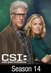CSI: Crime Scene Investigation: Season 14