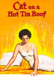 Cat on a Hot Tin Roof