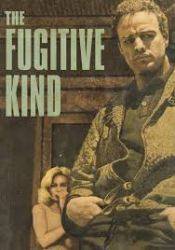 Fugitive Kind, The