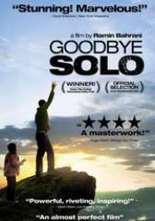 Goodbye Solo