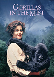 Gorillas in the Mist