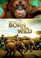 IMAX: Born to Be Wild