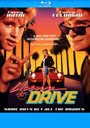 License to Drive