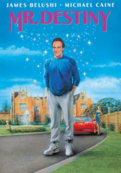 Mr. Destiny