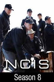 NCIS: Season 8
