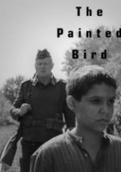 Painted Bird, The