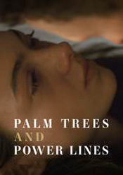 Palm Trees and Power Lines