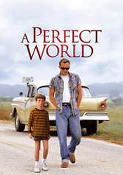 Perfect World, A