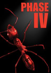 Phase IV