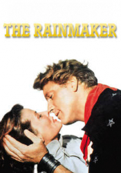 Rainmaker, The