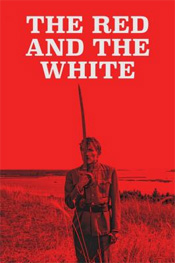 Red and the White, The