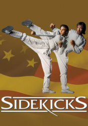 Sidekicks