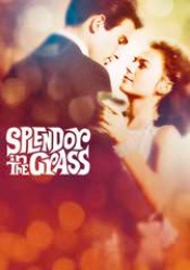 Splendor in the Grass