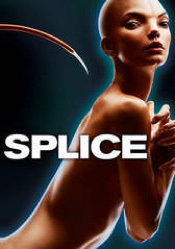 Splice