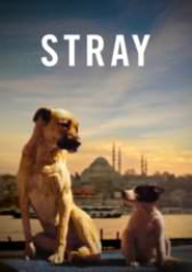 Stray