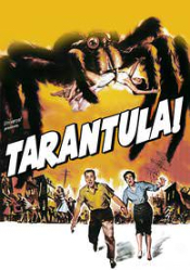 Tarantula
