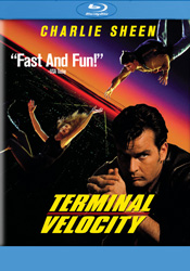 Terminal Velocity