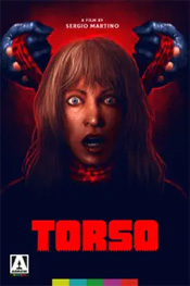 Torso