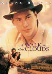Walk in the Clouds, A