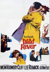 Wild River