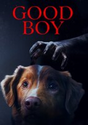 Good Boy